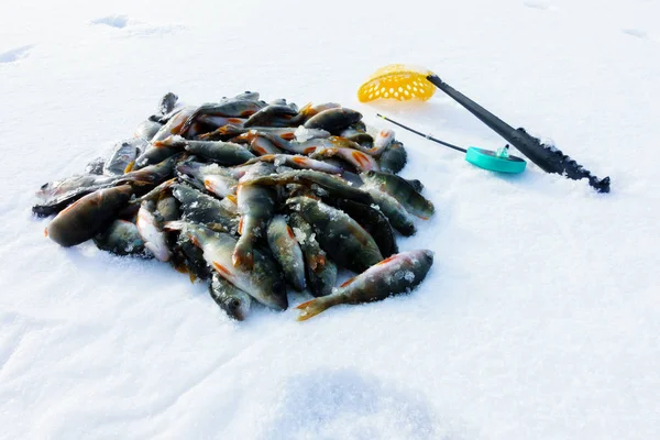 Pesca Inverno Partir Gelo — Fotografia de Stock