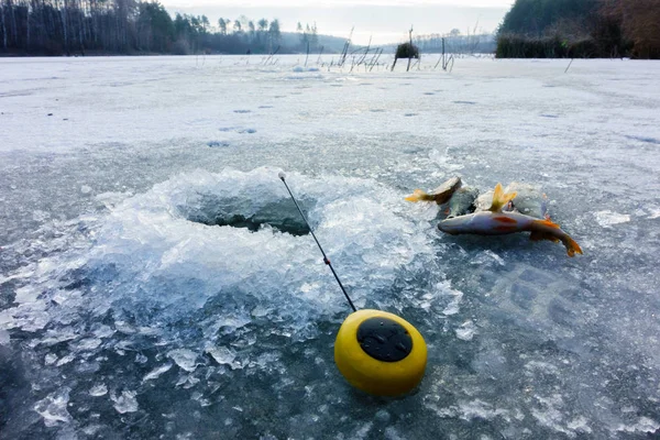 Winter Ice Fishing Hobby — 스톡 사진