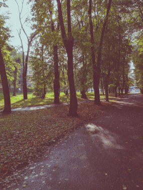Güzel sokak ağaçları ile