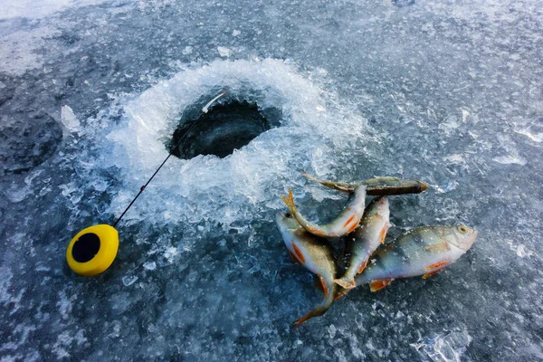 Pesca no gelo no lago — Fotografia de Stock