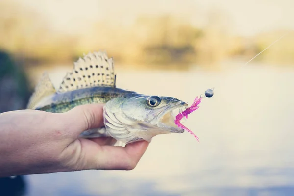 Pesca. Pescatore e pesce — Foto Stock