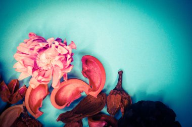 Dekoratif spa elemanları arka plan