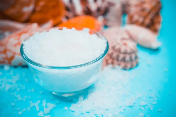 Conchas y fondo de sal marina — Foto de Stock