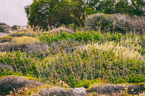 Paesaggio marino. Gita in mare a Creta — Foto Stock