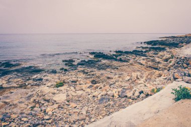 Seascape. Girit'e deniz gezisi