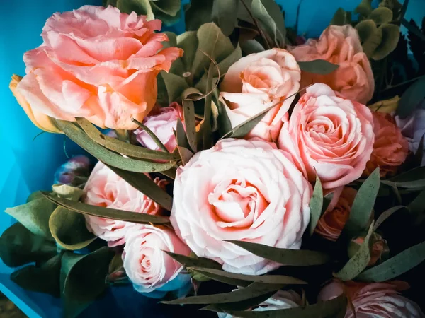 Lindas Rosas Perto — Fotografia de Stock