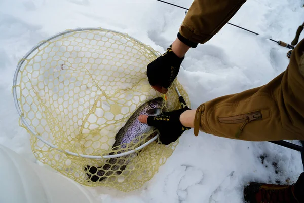 Pesca alla trota in inverno sul lago — Foto Stock