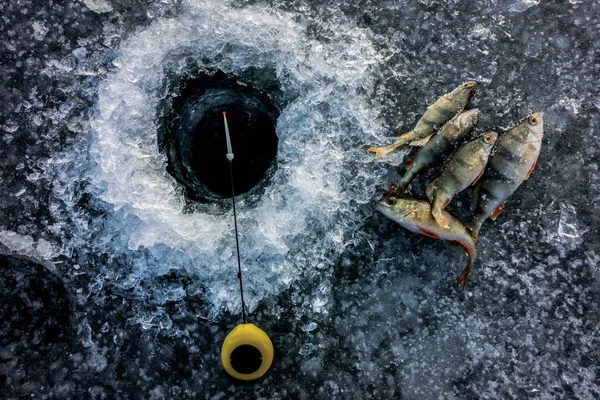 Pesca Gelo Lago — Fotografia de Stock