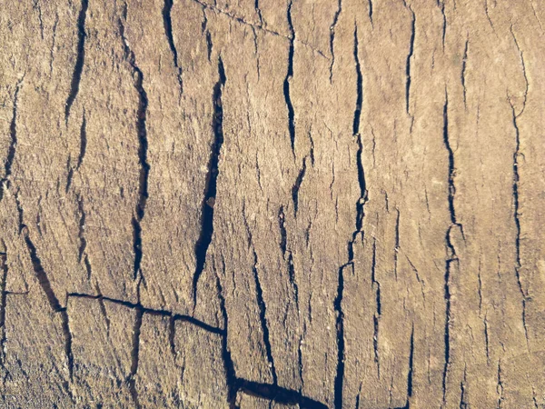 Резка Текстуры Дерева Фон — стоковое фото