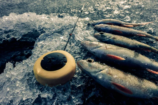 冬の氷釣り趣味 — ストック写真