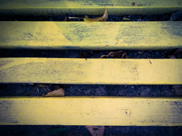 Yellow leaves of wood — Stock Photo, Image