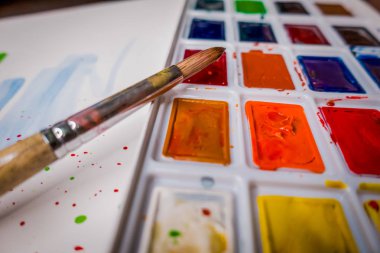 Araçlar Illustrator. Boyalar ve albüm