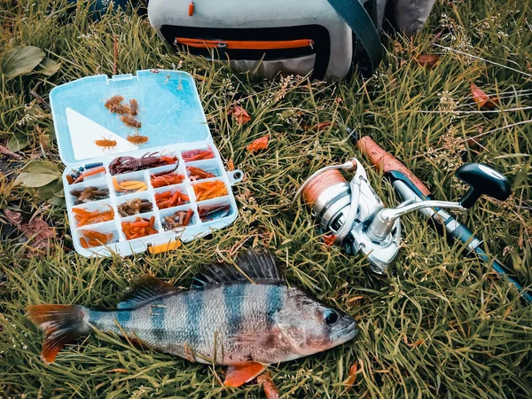 Concetto di pesca: pesce, canna da pesca, esca — Foto Stock