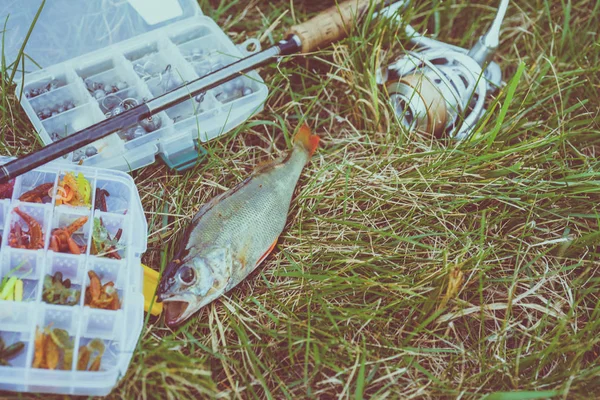 釣りの概念 タックル 釣り竿 草の上の魚 — ストック写真
