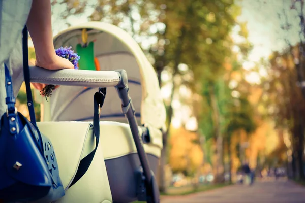 Mother with a stroller on a walk — Stock Photo, Image