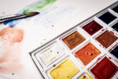 Araçlar Illustrator. Boyalar ve albüm