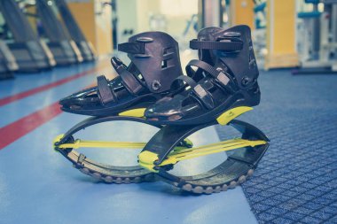 kangoo botları yakından atlar