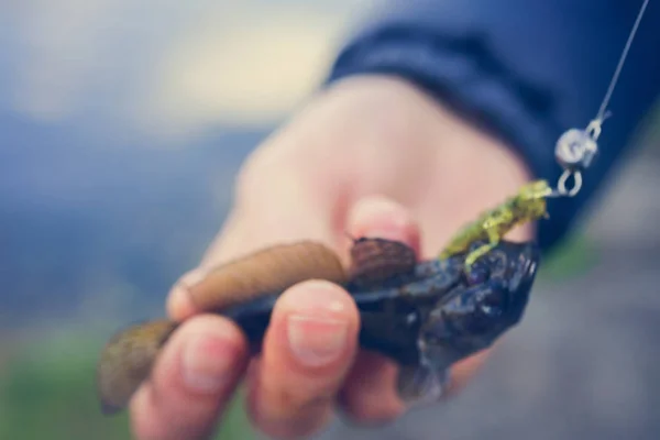 釣り。漁師と魚 — ストック写真