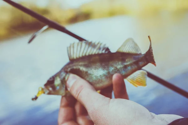 Fischerei. Fischer und Fische — Stockfoto