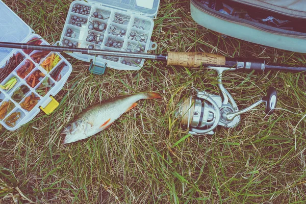 Concepto de pesca: aparejos, caña de pescar, peces en la hierba — Foto de Stock
