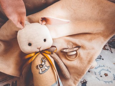 arabasındaki bebek oyuncak tavşan