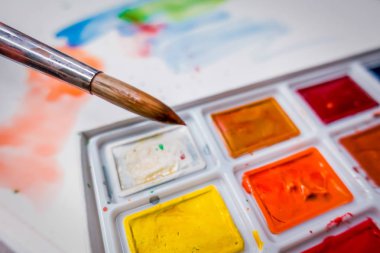 Araçlar Illustrator. Boyalar ve albüm