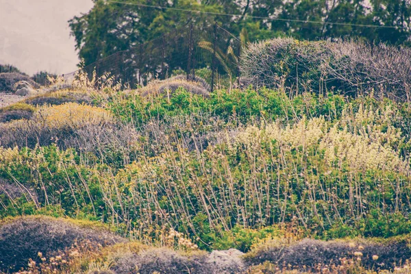 A paisagem marinha. Viagem marítima a Creta — Fotografia de Stock