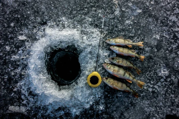 Pesca Gelo Lago — Fotografia de Stock