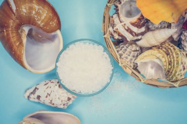 Kabukları ve deniz tuzu arka plan