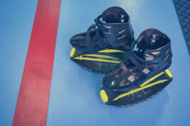 kangoo botları yakından atlar