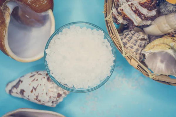 Conchas marinas sobre un fondo azul — Foto de Stock