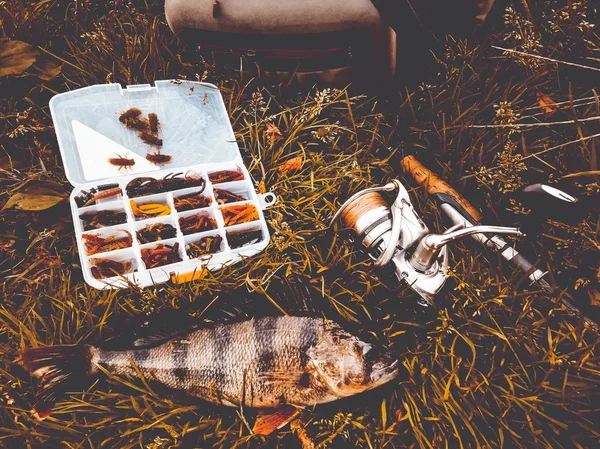 Concepto de pesca: pescado, caña de pescar, cebo —  Fotos de Stock