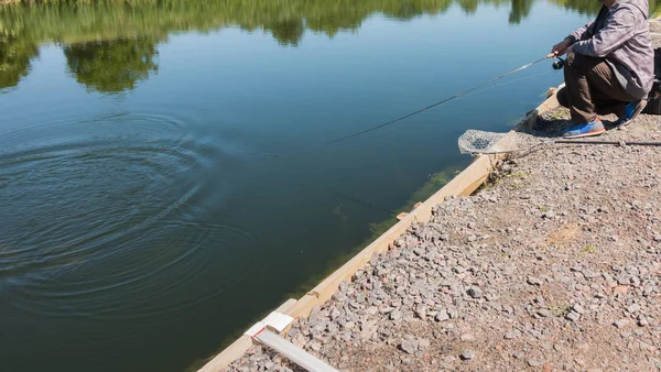 Fisherman catch rainbow trout from lake — Stock Photo, Image