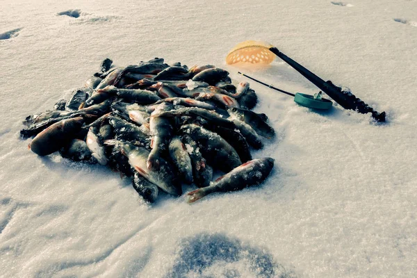 Winterfischen Aus Eis — Stockfoto