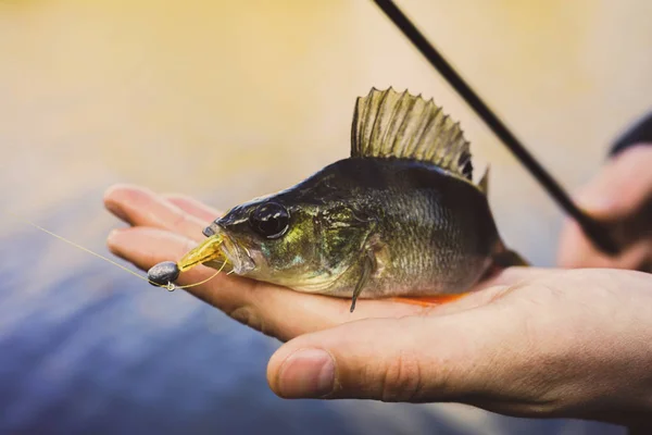 A pescar. Pescador e peixe — Fotografia de Stock