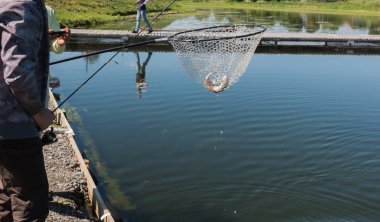 Balıkçı yakalamak gökkuşağı alabalığı Gölü
