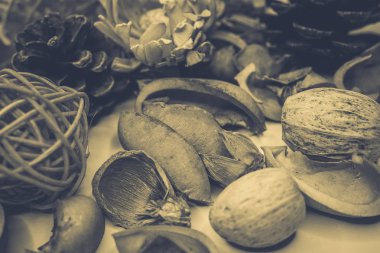 Dekoratif spa elemanları arka plan