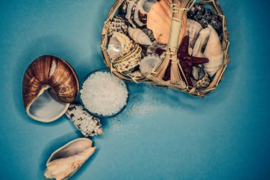 Kabukları ve deniz tuzu arka plan