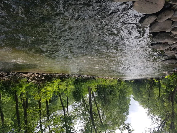 森の中の美しい速い川 — ストック写真
