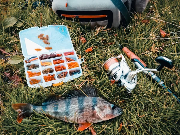 Concepto de pesca: pescado, caña de pescar, cebo —  Fotos de Stock