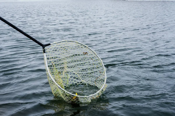 Pesca de truchas en el lago — Foto de Stock