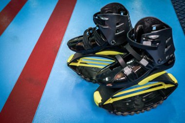 kangoo botları yakından atlar