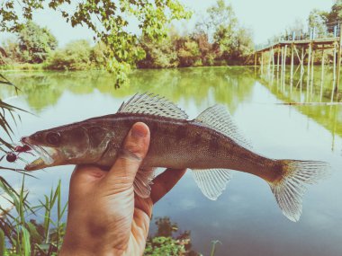bir elinde bir göl kenarında balık yakaladı