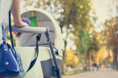 bir yürüyüşte bir bebek arabası ile anne