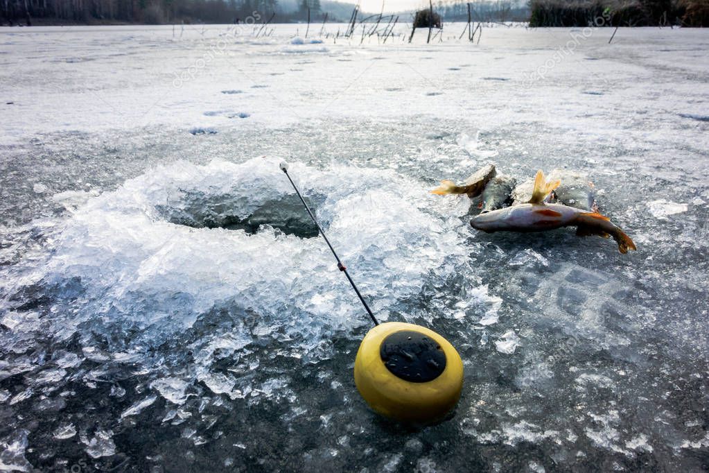 Winter ice fishing hobby 