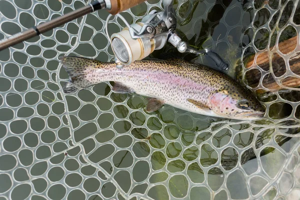 Öring fiske på sjön — Stockfoto