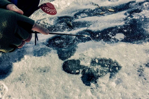 Pesca Invierno Desde Hielo — Foto de Stock