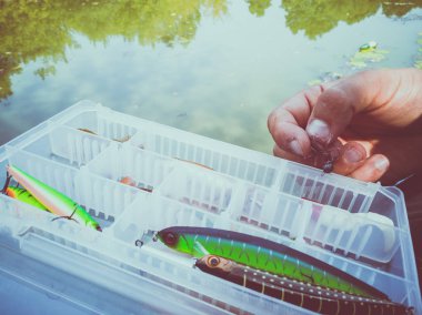 bir kutuiçinde balık için yem