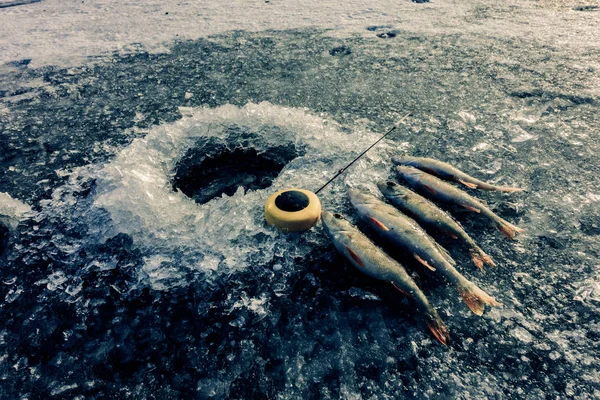 Pesca de hielo en el lago — Foto de Stock