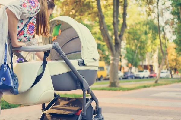 Moeder met een wandelwagen op een wandeling — Stockfoto